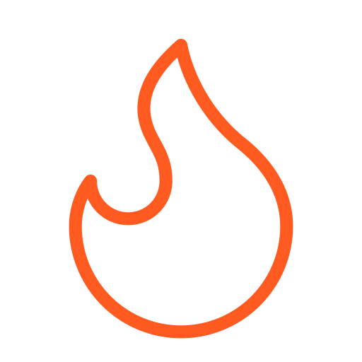 Tandoori BBQ favicon